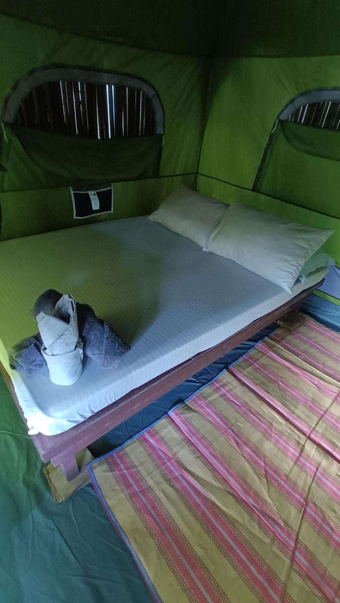 Tony'S Country Glamping With Chalet With Private Wash Room Accommodation 엘니도 외부 사진